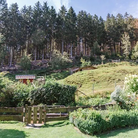 Haus Am Sonnenhang Typ B Lägenhet Niedersalwey